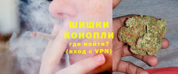 трава Ельня