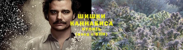 apvp Остров